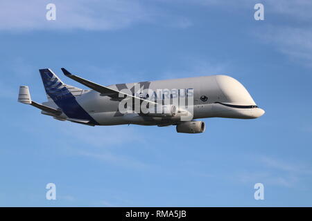 Airbus Beluga XL, Hawarden Airport, Deeside, Wales, Regno Unito giovedì 14 febbraio 2019. Il nuovo Airbus super-transporter Beluga terre XL a Hawarden Airport North Wales per la prima volta. Credito: Mike Clarke/Alamy Live News Foto Stock