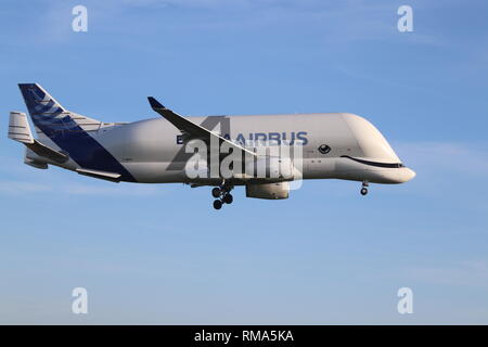 Airbus Beluga XL, Hawarden Airport, Deeside, Wales, Regno Unito giovedì 14 febbraio 2019. Il nuovo Airbus super-transporter Beluga terre XL a Hawarden Airport North Wales per la prima volta. Credito: Mike Clarke/Alamy Live News Foto Stock