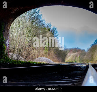 BIRMINGHAM, Regno Unito - Marzo 2018 angolo visuale di ramoscelli secchi e rami al di fuori del tunnel. Ferrovia Via sul cordolo di primo piano in corrispondenza della estremità lontana. Mattone sotterranee Foto Stock