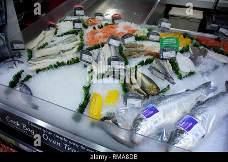 BIRMINGHAM, Regno Unito - Marzo 2018 ASDA varie materie pesci su ghiaccio frantumato nella sezione umida del supermercato. Etichette e cartellini dei prezzi protetti con acetato. Cu Foto Stock