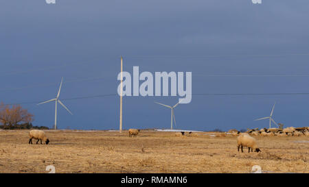 Farm in Amherst isola in inverno, Ontario, Canada Foto Stock