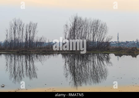 La riflessione di alberi in un acqua inquinata corpo. Lievi verdognoli di colore arancione dovuta al tramonto riflesso sulla superficie del lago. Foto Stock