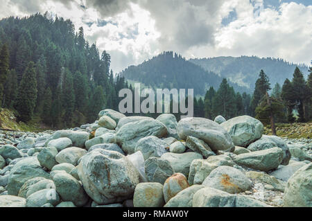 Massi su un verry rocky terreni accidentati wwith pineta e le montagne come sfondo nella valle del Kashmir in India. Regione montagnosa dell Himalaya Foto Stock