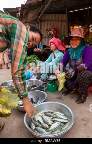 Cambogia, Kampot Provincia, Kampot, pesce isola Road, piccolo mercato locale, donne vendita di pesci catturati Foto Stock