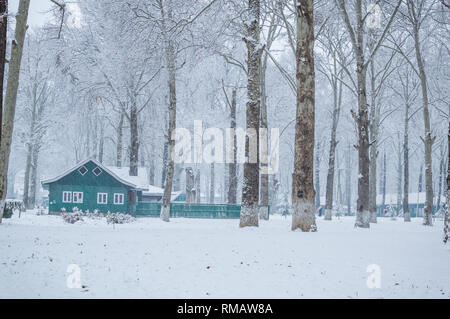 Un colore verde hut lodge cabina in un fitto bosco durante la stagione di neve. Una casa in un bianco paesaggio invernale. Grandi alberi di acero nella neve Foto Stock