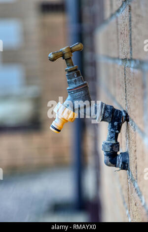 Giardino tocca nel South Wales UK Foto Stock