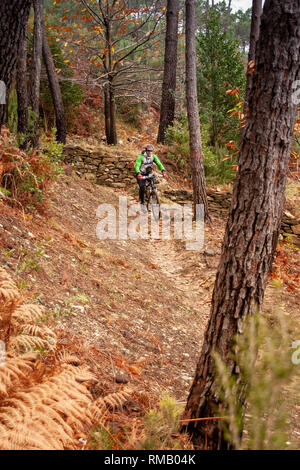 PISA, Italia - 12 giugno 2009: I ciclisti sconosciuto nei sentieri del Monte Serra (Monte Serra) nel periodo autunnale, Pisa, Toscana Foto Stock