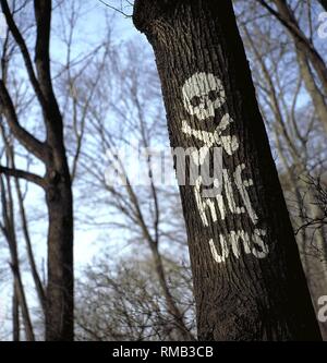 Tronco di albero con cranio: protesta degli ambientalisti sconosciuto contro il fenomeno degli alberi morenti a Monaco presso la Isarhochufer. Foto Stock