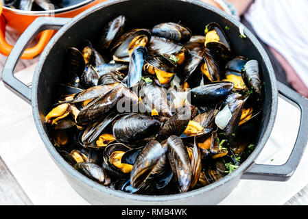 Le cozze al vapore con prezzemolo, il vino e il curry, un tipico alimento belga e Brittany Foto Stock