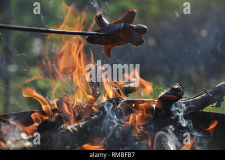 La tostatura salsicce sul fuoco, Repubblica ceca, 2018. (CTK foto/Rotislav Kalousek) Foto Stock