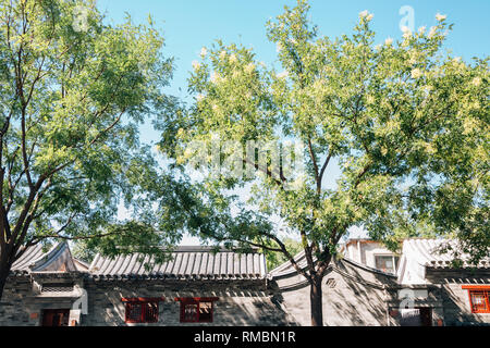 Dongcheng Yonghegong street, Cinese old street Hutong di Pechino, Cina Foto Stock