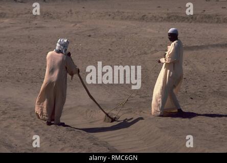 Due uomini sudanesi coltivando il suolo nella regione arida di Nubia. Foto Stock