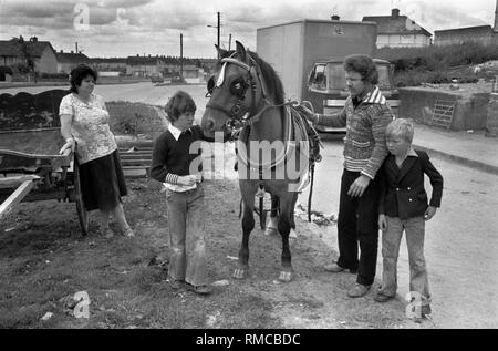 Negli anni Settanta la famiglia irlandese di gruppo con il loro cavallo pet Limerick, nella contea di Limerick, Eire. Costa occidentale dell'Irlanda meridionale 70s HOMER SYKES Foto Stock