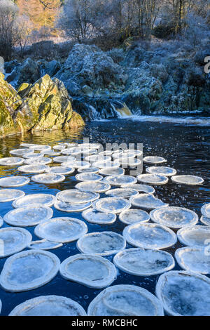 Frittelle di ghiaccio in piscina Ness cascata, grande acqua della flotta, Dumfries & Galloway, Scozia Foto Stock