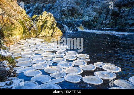 Frittelle di ghiaccio in piscina Ness cascata, grande acqua della flotta, Dumfries & Galloway, Scozia Foto Stock