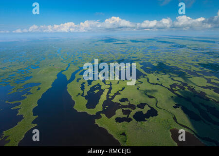 Vista aerea, Natuional Everglades Park, FLORIDA, Stati Uniti d'America, America Foto Stock