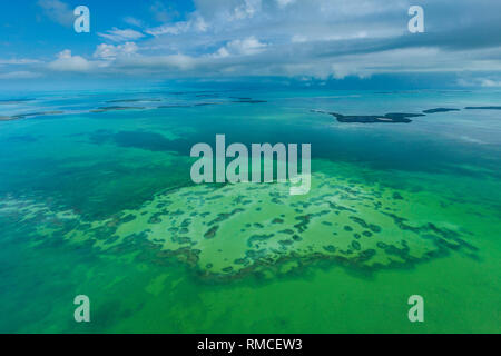 Vista aerea, Natuional Everglades Park, FLORIDA, Stati Uniti d'America, America Foto Stock