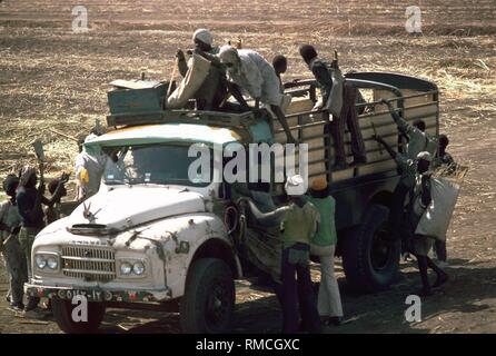 Vendemmiatori dall Uganda lavorando sul raccolto di canna. Un gruppo di lavoratori sono sempre su un carrello che porta le persone al loro posto di lavoro e viceversa per il punto di raccolta. Foto Stock