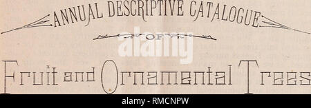 . Annuale catalogo descrittivo di frutta e di alberi ornamentali, piccoli frutti, di vigne e di piante : propagato, cresciuto e per la vendita Vivai (orticoltura) Kansas cataloghi; vivaio Kansas cataloghi; alberi da frutto cataloghi; alberi ornamentali Cataloghi Cataloghi di frutta; uve cataloghi. ESTABLISEED: ^^   INCOSPOEATED1884. Lade County, MisBonri. 1857. * Fort Scott, I&amp;SSAS. 1865. | Zl7riVID7AL SESFONSIBILITIES, $100,C00. H. B. HART, Presidente. H F. M. SERRATURA, Segretario. # U. B, PEARSALL, Tesoriere.. Piccoli frutti, di vigne e di piante propagate. Cresciuto E PER LA VENDITA DA HART PIONEER vivai, . FORT SCO Foto Stock