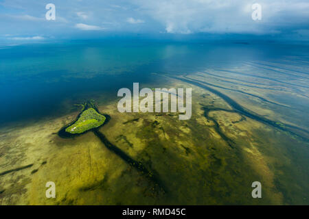 Vista aerea, Natuional Everglades Park, FLORIDA, Stati Uniti d'America, America Foto Stock