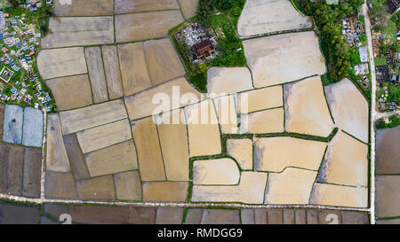 Tempio di risaie allagate vicino a Hoi An, Vietnam Foto Stock