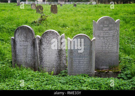 Cimitero ebraico di Nowy Sacz, Malopolska, Polonia Foto Stock