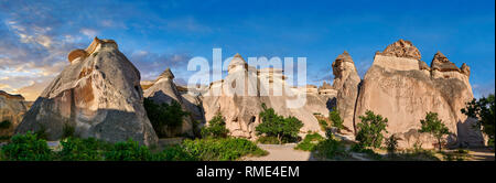 Foto & immagini delle formazioni rocciose del camino delle fate e dei pilastri rocciosi della Valle Pasabag, vicino a Goreme, Cappadocia, Nevsehir, Turchia Foto Stock