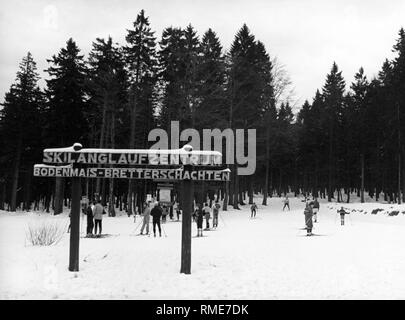 Sport invernali nel centro sci di fondo Bretterschachten nei pressi di Bodenmais nella Foresta Bavarese. Foto Stock