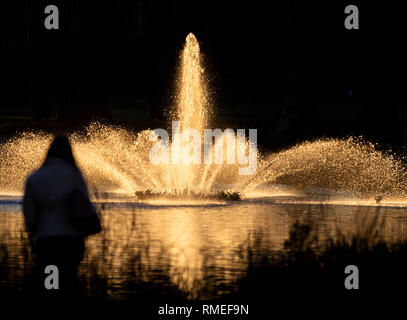 Una donna guarda la fontana a St James Park a Londra come è illuminato dal sole al tramonto. Foto Stock