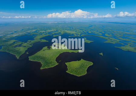 Vista aerea, Natuional Everglades Park, FLORIDA, Stati Uniti d'America, America Foto Stock