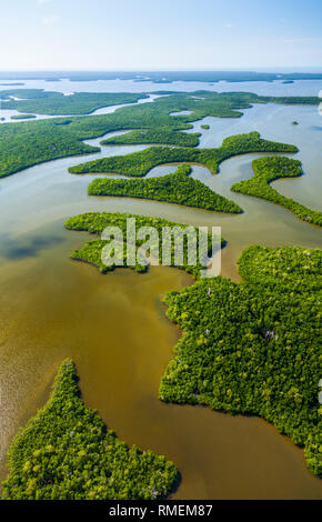 Vista aerea, Natuional Everglades Park, FLORIDA, Stati Uniti d'America, America Foto Stock