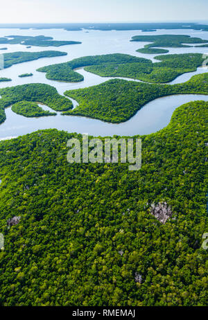 Vista aerea, Natuional Everglades Park, FLORIDA, Stati Uniti d'America, America Foto Stock