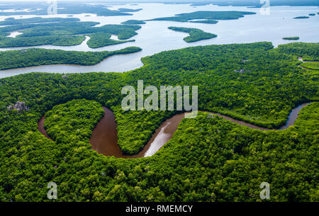 Vista aerea, Natuional Everglades Park, FLORIDA, Stati Uniti d'America, America Foto Stock