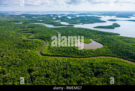 Vista aerea, Natuional Everglades Park, FLORIDA, Stati Uniti d'America, America Foto Stock