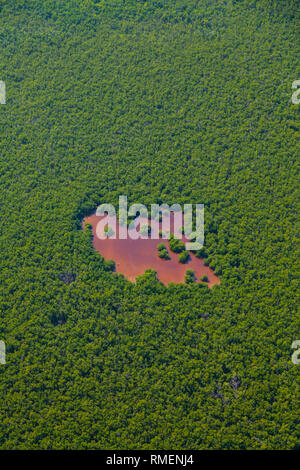 Vista aerea, Natuional Everglades Park, FLORIDA, Stati Uniti d'America, America Foto Stock