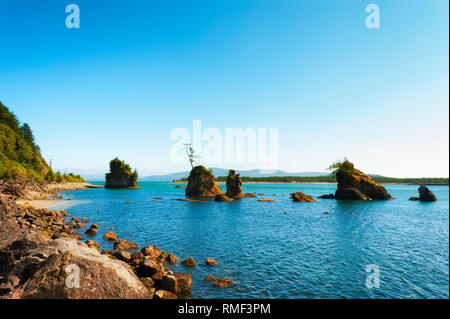 Intertital rocce di Tillamook Bay vicino a Wheeler, Oregon sul Oregon Coast Foto Stock
