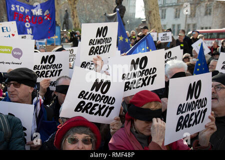 Voto popolare sostenitori assemblato in piazza del Parlamento per la benda Brexit protestare davanti ad un crunch dibattito alla Camera dei comuni per illustrare che questo Brexit fornirebbe alcuna chiarezza e senza tappo sulle nostre future relazioni con l'Europa il 14 febbraio 2019 a Londra, Inghilterra, Regno Unito. Foto Stock