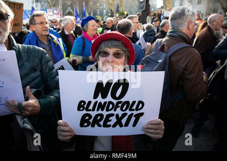 Voto popolare sostenitori assemblato in piazza del Parlamento per la benda Brexit protestare davanti ad un crunch dibattito alla Camera dei comuni per illustrare che questo Brexit fornirebbe alcuna chiarezza e senza tappo sulle nostre future relazioni con l'Europa il 14 febbraio 2019 a Londra, Inghilterra, Regno Unito. Foto Stock