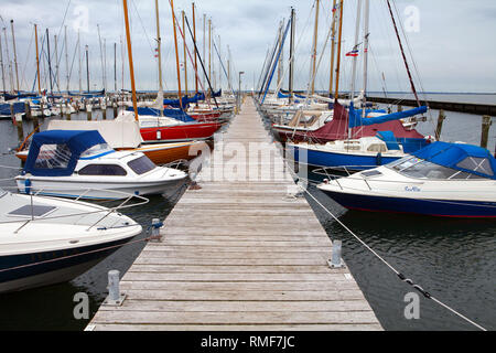 Porta Waccurballig, Mar Baltico, Anglia, Schleswig-Holstein, Germania, Europa Foto Stock