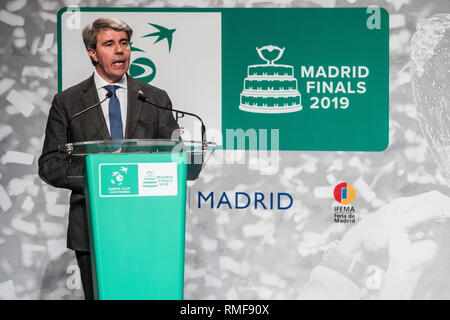 Madrid, Spagna. Xiv Feb, 2019. Angel Garrido, Presidente della Comunità di Madrid Parlando durante la cerimonia di assorbimento della Coppa Davis finale di tennis 2019. Credito: Marcos del Mazo/Alamy Live News Foto Stock