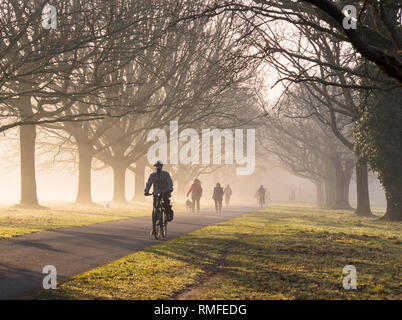 Southampton comune. 15 feb 2019. Regno Unito: Meteo Alta pressione continua a dominare il Regno Unito meteo, risultante in una nebbiosa per iniziare la giornata per cylists e cane walkers sul comune di Southampton. Credito: James Hughes/Alamy Live News Foto Stock