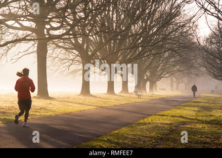 Southampton comune. 15 feb 2019. Regno Unito: Meteo Alta pressione continua a dominare il Regno Unito meteo, risultante in una nebbiosa per iniziare la giornata per gli amanti del jogging e Walkers sul comune di Southampton. Credito: James Hughes/Alamy Live News Foto Stock