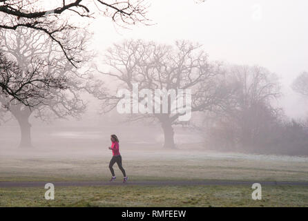 Southampton comune. 15 feb 2019. Regno Unito: Meteo Alta pressione continua a dominare il Regno Unito meteo, risultante in una nebbiosa per iniziare la giornata per un pareggiatore su Southampton comune. Credito: James Hughes/Alamy Live News Foto Stock