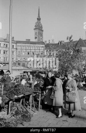 Una donna di mercato è a parlare con i clienti presso il Viktualienmarkt Monaco di Baviera. Sullo sfondo il campanile della chiesa di San Pietro. Foto Stock