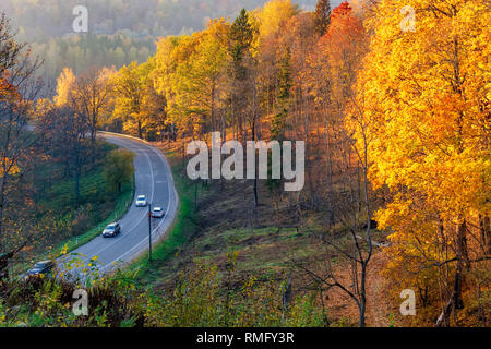 Vista aerea di strada con le auto in autunno bello e mite foresta. Paesaggio con strada rurale e il rosso e il giallo e alberi di arancio. Autostrada attraverso la Nazione Gauja Foto Stock