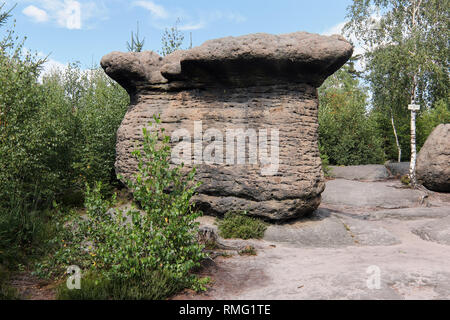 Funghi di pietra - formazioni rocciose bizzarre, Broumov pareti, PLA Broumovsko, Repubblica Ceca Foto Stock