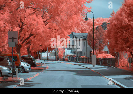 Bellissima vista di alberi a infrarossi sui lati della strada asfaltata sulla tranquilla strada suburbana a Linz, Austria Foto Stock