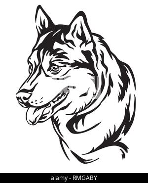 Profilo decorativo ritratto di cane Siberian Husky in cerca di profilo, illustrazione vettoriale in colore nero isolato su sfondo bianco. Immagine per desig Illustrazione Vettoriale
