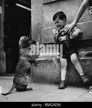 Ragazzo con Lederhosen e gelato e un'accattonaggio bassotto in Munich-Sendling. Foto Stock