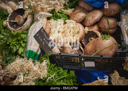 Diverse specie di marrone e bianco di funghi in vendita su una verdura in stallo un allevatore locale mercato. Formato orizzontale. Foto Stock